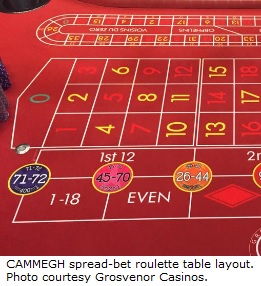 roulette table layout bets odds payouts