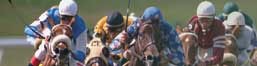Racing Horses.